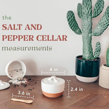Mora Ceramic Salt and Pepper Cellar Set with Lid - 10 oz Modern Canister/Container/Bowl for Storage, Sea Salt, Spice, Sugar, Countertop - Small Dish/Jar with Wood Spoon, White Crock - color: Vanilla White