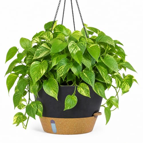 ZMTECH 12 Inch Hanging Planters for Indoor Plants, Large Self Watering Hanging Planter with Visible Water Level Window & Chain, Dark Gray Hanging Baskets for Outdoor Patio - color: Dark Gray
