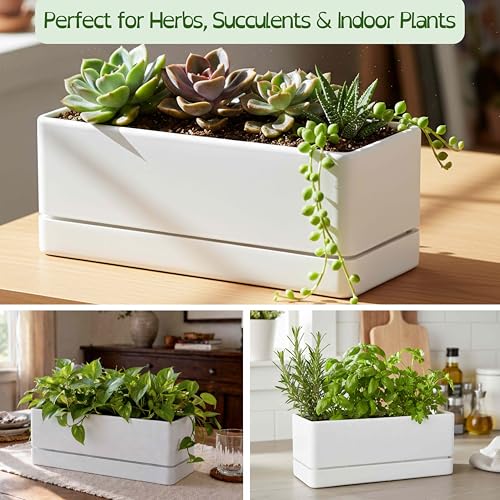 D'vine Dev Rectangular Planter, 12 x 4.5 in, White, Set of 1, 76-X-A-1 | Minimalist Design, Large Planting Capacity, Drainage Holes & Saucer, Thick-Walled Durable Build, Ideal for Windowsills - color: White