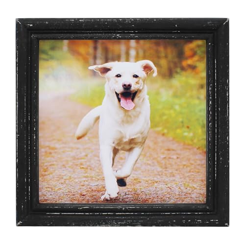 8x8 Picture Frame Made of Solid Wood High Definition Glass Rustic Antique Designs Small Photo Frame for Tabletop Display and Wall Mounting, Distress Black - color: Distress Black B, size: 8" X 8"