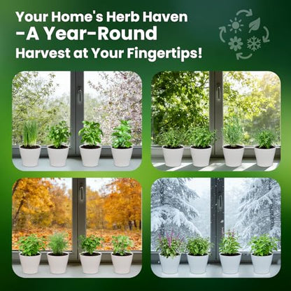 Herb Garden Starter Kit – Fruivity 12800+ 15 in 1 Herb Heirloom Seed Kits for Indoor/Outdoor Planting | Herb Indoor Garden Kit Starter - Complete Herb Garden Starter Set with Gift Packaging for Family