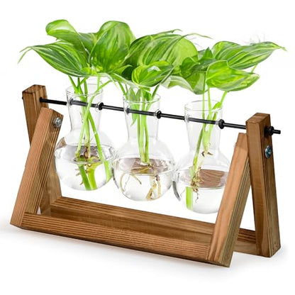 Glass Propagation Station with Wooden Stand – 3 Bulb Vase Plant Terrarium for Home & Office | Ideal Christmas, New Year & Birthday Gift for Plant Lovers, Moms | Hydroponic Desktop Planter Set - size: 3 Bulbs