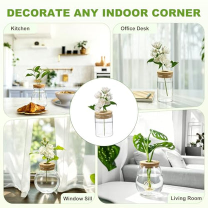 M METERXITY 1 Pack Glass Planter Terrarium with Wooden Cover, Desktop Plant Propagation Station Clear Vase for Hydroponic Plants Propagation/Home Garden Decor/Plant Lover [2.56'' x 3.15''] - size: 2.56'' x 3.15''