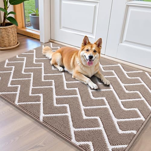 OLANLY Front Door Mat, Non-Slip Rubber Backing, Dirt Resistant and Absorbent, Washable, Easy to Clean Low-Profile Indoor Doormat for Back Door, Entryway, Inside Entrance, 40x32, Brown - color: Brown, size: 40" X 32"
