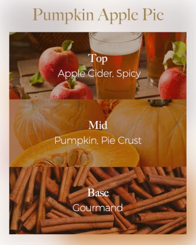 M&SENSE Pumpkin Apple Pie Scented Candles,3 Wick Soy Candles for Home Scented, 12oz Travel Aromatherapy Candle for Stress Relief, 40 Hour Burn Time - color: Pumpkin Apple Pie