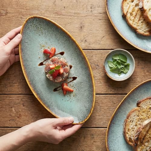 Ceramic Dinner Plates Set of 4, for Bread, Pasta, Salad, sushi - Microwave, Oven and Dishwasher Safe, Scratch Resistant durable Brown Brown reactive glaze - color: Brown reactive glaze, size: 13.3 inch