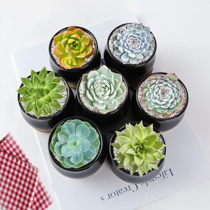 SHECIPIN 2 Pack Succulent Pots, 2.5 Inch Mini Ceramic Pots for Flower or Cactus Plants with Drainage Hole,Plants Not Included (Black) - color: 2 Pack Black Mini Pots
