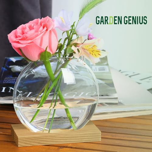 Single Glass Propagation Station with Wooden Base – Hydroponic Plant Terrarium for Home & Office | Ideal Christmas, New Year & Birthday Gift for Plant Lovers, Moms | Desktop Windowsill Planter Vase - size: Brown (Round Vase)
