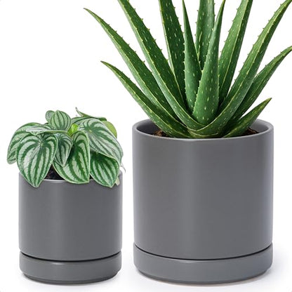 D'vine Dev 2-Pack Ceramic Pots with Saucers, Grey, 4/6 in, 94-G-S-3 | Glazed Ceramic, Drainage Hole, Perfect-Fit Saucer, Sleek Cylinder Shape, High Temperature Fired, Elegant Home Accent - color: Gray, size: Small
