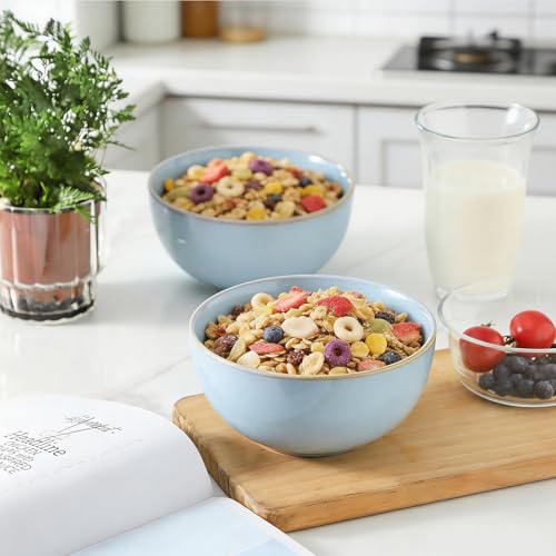 Cereal Bowls, 24 oz Ceramic Bowls Set of 4, Stoneware Bowl Set for Salad, Kitchen, Soup, Dessert, Ramen, Dishwasher and Microwave Safe, Skyblue - color: SkyBlue, size: Set of 4