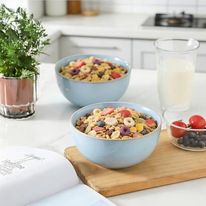 Cereal Bowls, 24 oz Ceramic Bowls Set of 4, Stoneware Bowl Set for Salad, Kitchen, Soup, Dessert, Ramen, Dishwasher and Microwave Safe, Skyblue - color: SkyBlue, size: Set of 4