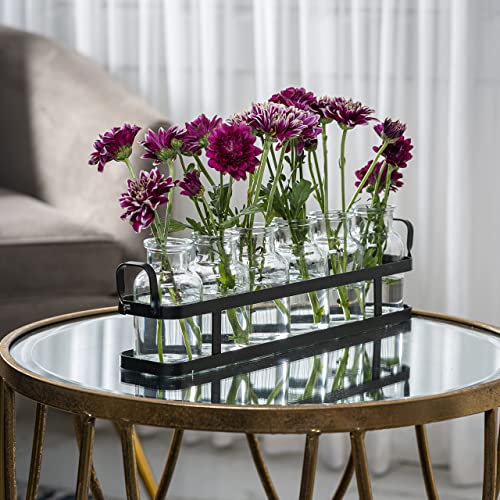 6pc Glass Flower Vase with Metal Holder, Best Vases Set for Home & Table Decor Flowers, Wedding Decorations, Kitchen, Bathroom, Bedroom, Modern Shelf Decor, Terrarium Arrangement