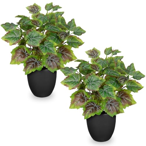 14.5" Artificial Plants Indoor Home Decor Set of 2 Faux Grape Plants | Silk Fake Potted Plants for Shelves Desks Living Room Office, Decorative Faux Potted Greenery Small Tropical House Plant - color: 2 Sets # Rusted Green