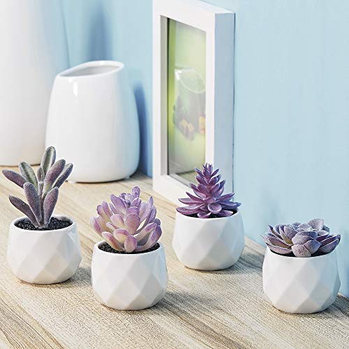 CADNLY Fake Succulent Plant Set Desk Plants Faux Succulents Pots Mini Purple Decor