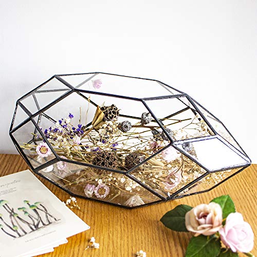 Ferris Island Handmade Glass Home Geometric Glass Succulent Flowerpot | Ideal for succulents, air plants, moss, mini ferns, and DIY terrarium arrangements with natural decorative accents. - size: 5.9"L x 11"W x 6.5"H