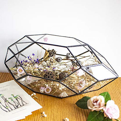 Ferris Island Handmade Glass Home Geometric Glass Succulent Flowerpot | Ideal for succulents, air plants, moss, mini ferns, and DIY terrarium arrangements with natural decorative accents. - size: 5.9"L x 11"W x 6.5"H