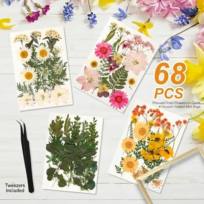 Relaxing Garden Pressed Flower Frame Kit, 3 Frames, 68 Flower Pieces | Three gold double-glass tabletop frames in 6x6, 6x8 and 7x9 sizes, with tweezers for flowers, photos and flat keepsakes.