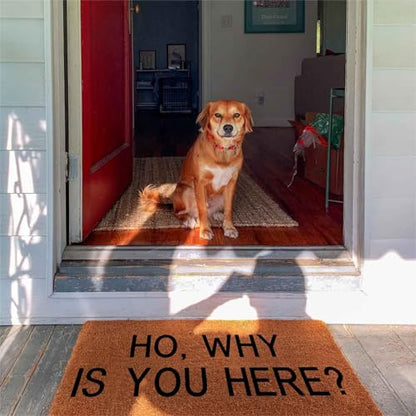Funny Coir Welcome Doormat for Porch & Entrance - Personalized Rug, Heavy-Duty PVC Backing, Non-Slip, 30 x 18 inch - color: Ho Why You Are Here