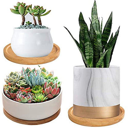 3 Pack Bamboo Saucer, 6 Inch Plant Saucer, 5" Cactus Plant Tray, Round Bamboo Tray for Modern Ceramic Flower Pot, Planter Pot, Cup Holder, Spoon Holder, Kitchen Utensil Rest - size: 6 Inch