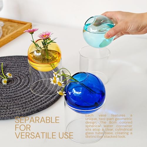 3-Pack Plant Propagation Station, Geometric Glass Vase Set | Mini Flower Vases & Planter Terrariums for Tables - color: Blue + Aqua + Amber