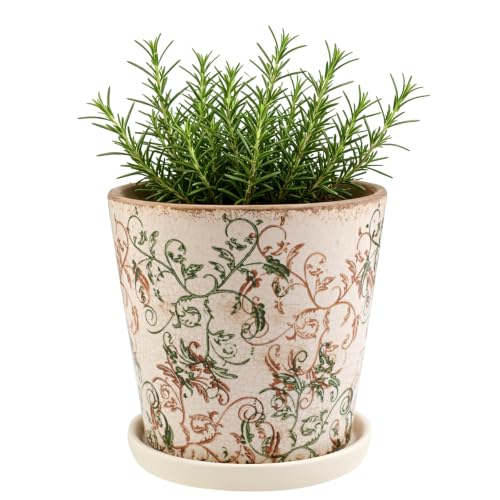 Ceramic Flower Pots for Indoor Plant with Drainage Hole & Saucer | 5.5 Inch Small Ice Crack Plant Pots, Decorative Vintage Planters For Succulent Herb Cactus Mint Basil, Garden Pot For Plant - color: Green Brown Vine