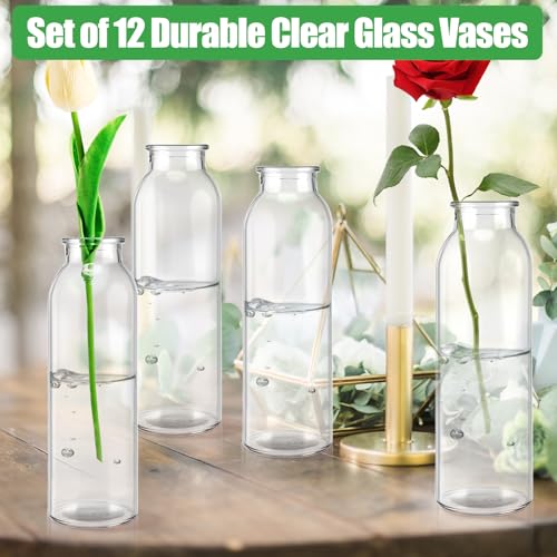 12 Pcs Glass Bud Vases Bulk, Small Glass Vases, Clear | Mini Flower Vases, Clear Vases for Flowers, Decorative Glass Bottles for Wedding Reception, Dining Table, Home Decor