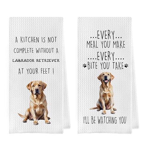 Gqtt Labrador Retriever Dish Towels Set - Funny Decorative Waffle Kitchen Towels, Labrador Gifts Hand Tea Towels (1624 Inches, Set of 2) - color: Labrador Retriever