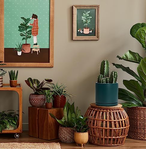 D'vine Dev 8 Inch Ceramic Planter Pot, Teal, 94-O-D-9 | Modern Cylinder Design, Drainage Hole & Saucer Included, Stable Structure, Elegant Home Accent - color: Teal, size: Medium