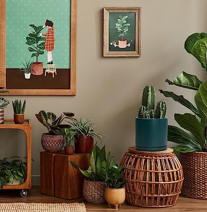 D'vine Dev 8 Inch Ceramic Planter Pot, Teal, 94-O-D-9 | Modern Cylinder Design, Drainage Hole & Saucer Included, Stable Structure, Elegant Home Accent - color: Teal, size: Medium
