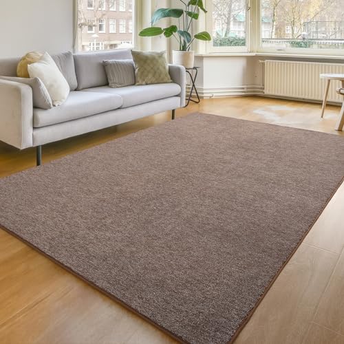 Modern Soft 6x9 Area Rug for Living Room, Washable Rugs for Bedroom | Indoor Non Slip Memory Foam Rug, Low Pile Accent Floor Carpet for Kids Dorm Playroom Nursery Classroom Decor, Brown and White - color: Brown and White, size: 6' x 9' (Rectangular)