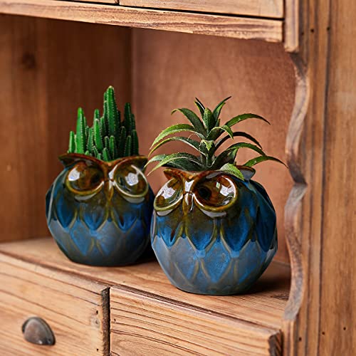 GeLive Blue Owl Ceramic Succulent Planter with Drainage Hole Animal Plant Pot Tabletop Decoration Vase Window Box Indoor Outdoor Decor (Blue) - size: 5.1" Blue