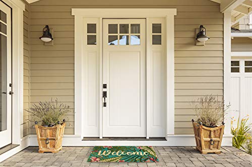 DII Natural Coir Doormat Outdoor Welcome Mat, 17x29, Tropical - color: Tropical