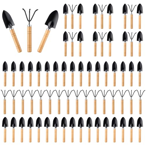 72 Pcs Mini Gardening Tools Kit with Small Trowel Mini Shovel & Hand Rake Rust Resistant Iron Succulent Tools with Wood Handle for Bonsai, Pot Plant, Seedlings, Herbs, Terrariums and Planting
