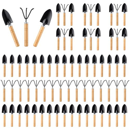 72 Pcs Mini Gardening Tools Kit with Small Trowel Mini Shovel & Hand Rake Rust Resistant Iron Succulent Tools with Wood Handle for Bonsai, Pot Plant, Seedlings, Herbs, Terrariums and Planting