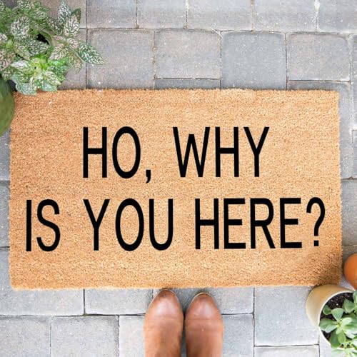 Funny Coir Welcome Doormat for Porch & Entrance - Personalized Rug, Heavy-Duty PVC Backing, Non-Slip, 30 x 18 inch - color: Ho Why You Are Here