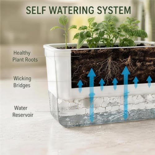 Rectangular Planter, Rectangle Planter, 2 Pack Self Watering Planter Boxes, Clear Plastic Window Boxes for Indoor Outdoor Herbs, Succulents, Flowers, Home Garden Windowsill Decor