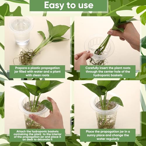 70 Pcs Plastic Plant Propagation Vase for Indoor Decor, 4.25'' | Clear Plastic Vase with Hydroponic Basket, Pet Material, Root Support Design, Easy Water Changes, Home Office Desktop Display - size: 4.25''