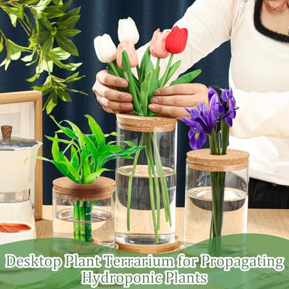 3 Pcs 3 Sizes Plant Propagation Station Separated Glass Plant Terrarium Water Hydroponic Planter Holder with Lid and Wooden Stand Propagation Vase Pot for Home Indoor Office(Common Sizes) - size: Common Sizes