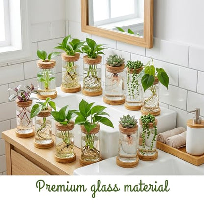 16 Pcs Propagation Vases with Bamboo Stand and Hole Lid, Glass Plant Propagation for Plants Water Hydroponic Desktop Office Home Vase Decoration(Classic Style)