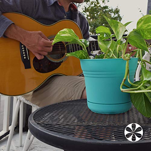 Bloem Saturn Planter with Saucer, 5", Passion Fruit (SP0529) - color: Passion Fruit, size: 5"