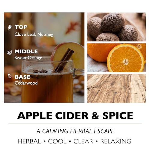 HomeLights Highly Scented Candles, Big 33.3 oz for Home, Natural Soy Aromatherapy Candles, Smokeless Long Lasting 130h with 3 Cotton Wicks, Candles Gifts for Women & Men - Apple Cider & Spice - color: Apple Cider & Spice