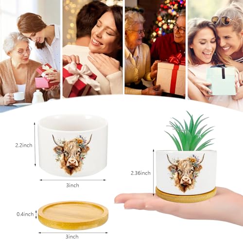 3Pcs Highland Cow Succulent Pots with Drainage and Bamboo Tray,3 Inch | Small Ceramic Planters for Plants,Cactus,Decoration for Office Home,Windowsill,Gifts for Women Mom (No Plants Included) - style: Highland Cow