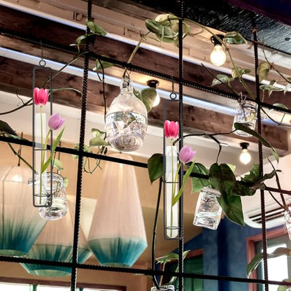 PATIKIL Plant Propagation Wall Hanging Terrarium with Metal Holder, 1 Sets Medium Glass Planter Tube Vase for Hydroponic Flower Office Bathroom Bedroom Decor, Black