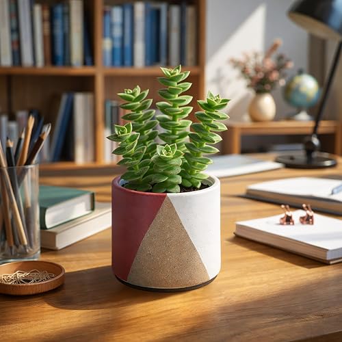 D'vine Dev 2-Pack Cachepot with Clear Pot, 4.5 in, Crimson Dune, 93-V-B-4 | Dual-Pot System, Root Visibility, Bottom Watering Support, Enhanced Drainage, Artistic Stoneware Design, Easy Plant Care - color: Crimson Dune, size: 4.5” Cachepot + 4“ Clear Grow