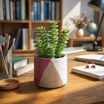 D'vine Dev 2-Pack Cachepot with Clear Pot, 4.5 in, Crimson Dune, 93-V-B-4 | Dual-Pot System, Root Visibility, Bottom Watering Support, Enhanced Drainage, Artistic Stoneware Design, Easy Plant Care - color: Crimson Dune, size: 4.5” Cachepot + 4“ Clear Grow
