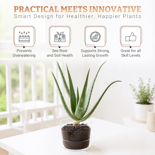 Sheer Glass Pot Planter with Drainage Holes & Tray - Decorative & Modern for All House Plants (6 Inches) - size: 6 Inches