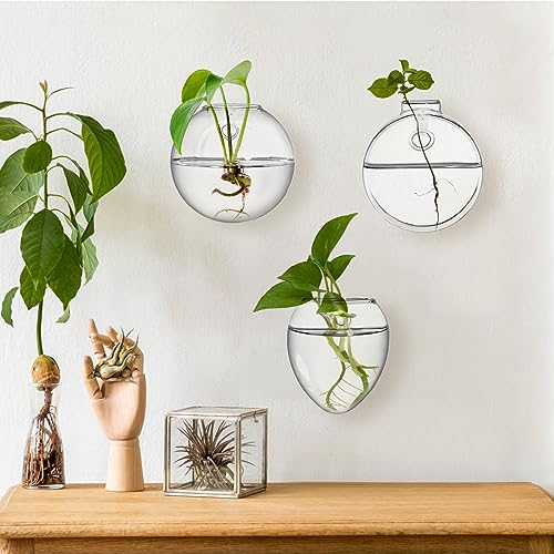 Set of 6 Wall Hanging Planter Terrarium, Clear Glass Plant Vase Wall Mount for Propagating Hydroponics Plant, Indoor Air Plants, Stylish 6 Shapes (Plants Not Included)
