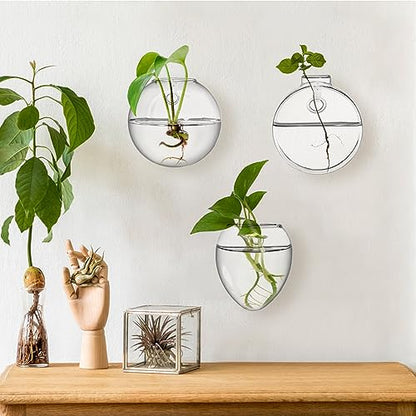 Set of 6 Wall Hanging Planter Terrarium, Clear Glass Plant Vase Wall Mount for Propagating Hydroponics Plant, Indoor Air Plants, Stylish 6 Shapes (Plants Not Included)