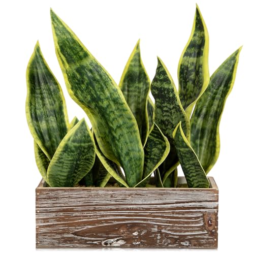 Fake Snake Plant in Rustic Wooden Planter 15.7 Inch Tall Artificial Sansevieria Trifasciata Plants Faux Potted Tropical Plant for Farmhouse Housewarming Home Office Modern Indoor Outdoor Decor - color: Wooden Pot-green