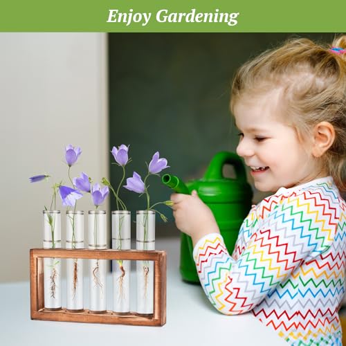 Tigvio 2pcs Desktop Glass Plant Propagation Station (10 Tubes) | with 10 Test Tubes in Wooden Stand, Hydroponic Plants Cutting Office Home Decoration and Garden Decor Terrarium - size: 10 Tubes